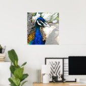 Poster Pacock (Bureau à domicile)