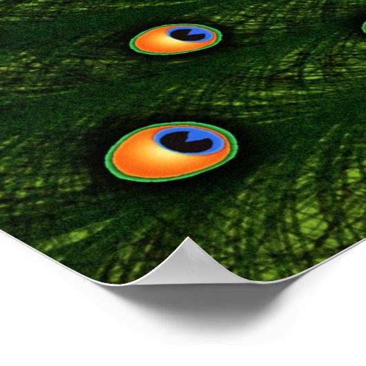 Poster Pacock (Coin)