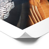 Poster Pacock (Coin)