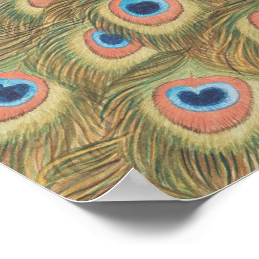 Poster Pacock (Coin)