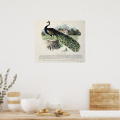 Poster Pacock (Cuisine)