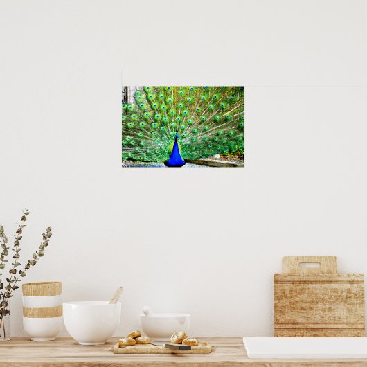 Poster Pacock (Cuisine)