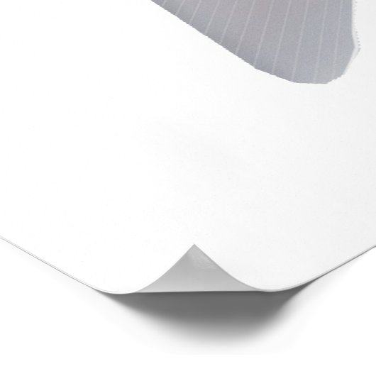 Poster Pacu Murutinga (Coin)