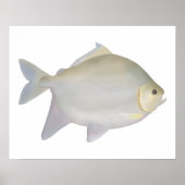 Poster Pacu Murutinga (Devant)