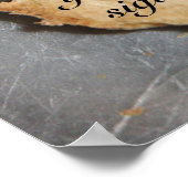 Poster Padre Nuestro Cartel (Coin)