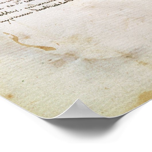 Poster Page 15 d'un Herbarium (Coin)