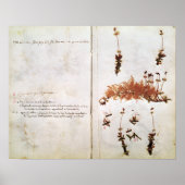 Poster Page 15 d'un Herbarium (Devant)