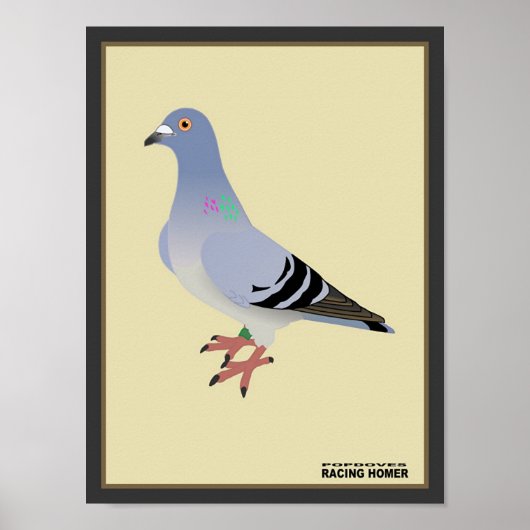 Poster Page d'accueil de la course belge (Devant)