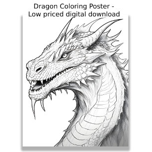 Poster Page de coloration - Dragon, Couleur de votre prop