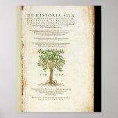 Poster Page de titre de 'De Historia Stirpium Commentarii (Devant)