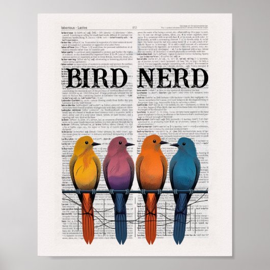 Poster Page du dictionnaire Nerd d'oiseaux (Devant)