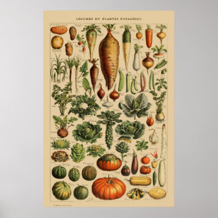 Poster Page Livre Vintage en français de Légumes