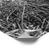 Poster Page manga oeuvre Vagabond (Coin)