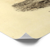 Poster Page Titre de l'Atlas géologique (Coin)