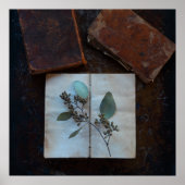 Poster Pages de livres anciens avec des feuilles eucalypt (Devant)