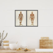 Poster Pages de livres d'anatomie vintage (Cuisine)