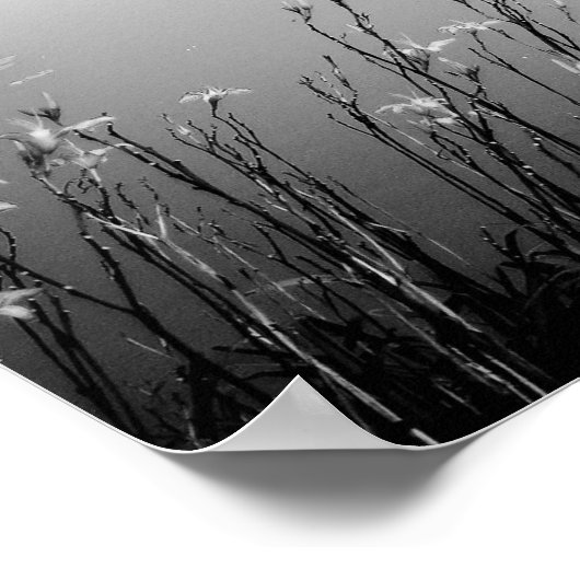 Poster Pagode (Coin)