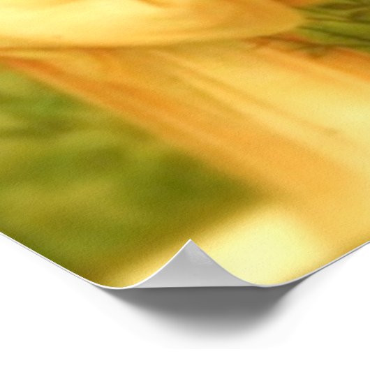 Poster : Pain d'Anges (Coin)