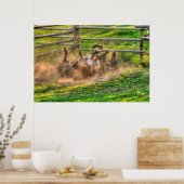 Poster Paint Horse Rolling en Poussière Funny Equine Phot (Cuisine)