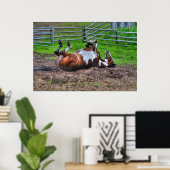 Poster Paint Horse Rolling in Mud Funny Equine Photo (Bureau à domicile)