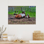 Poster Paint Horse Rolling in Mud Funny Equine Photo (Cuisine)