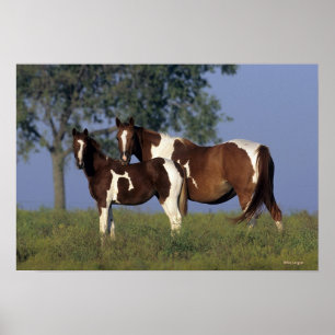 Poster Paint Mare & Foal