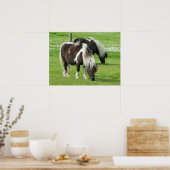 Poster Paint Ponts Purebred Shetland (Cuisine)