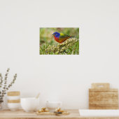 Poster Painted Bunting (Cuisine)
