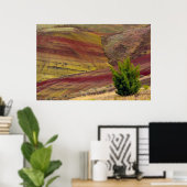 Poster Painted Hills, Mitchell, Oregon, États-Unis (Bureau à domicile)