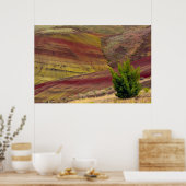Poster Painted Hills, Mitchell, Oregon, États-Unis (Cuisine)