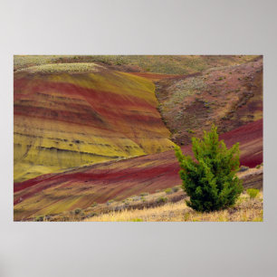 Poster Painted Hills, Mitchell, Oregon, États-Unis