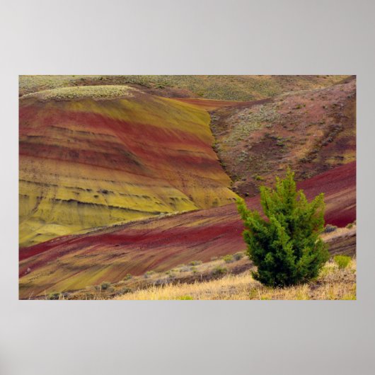 Poster Painted Hills, Mitchell, Oregon, États-Unis (Devant)