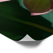 Poster Pair de Lotus (Coin)