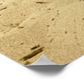 Poster Pair o' Ukes (Coin)