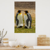 Poster Pair of King Penguins (Cuisine)