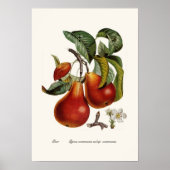 Poster Paire (Devant)