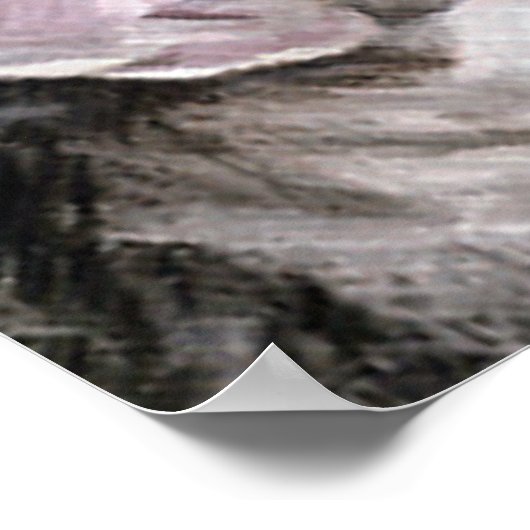 Poster Paire Alpha (Coin)