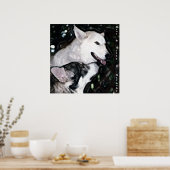 Poster Paire Alpha (Cuisine)