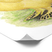 Poster Paire Brahma Buff (Coin)