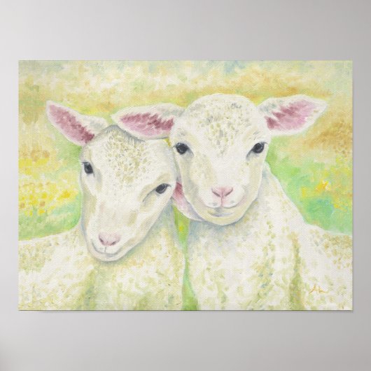 Poster Paire d'agneau (Devant)