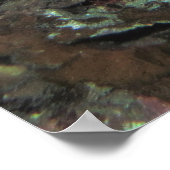 Poster Paire de Bigeyes (Coin)