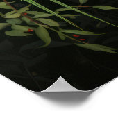 Poster Paire de budgets verts (Coin)