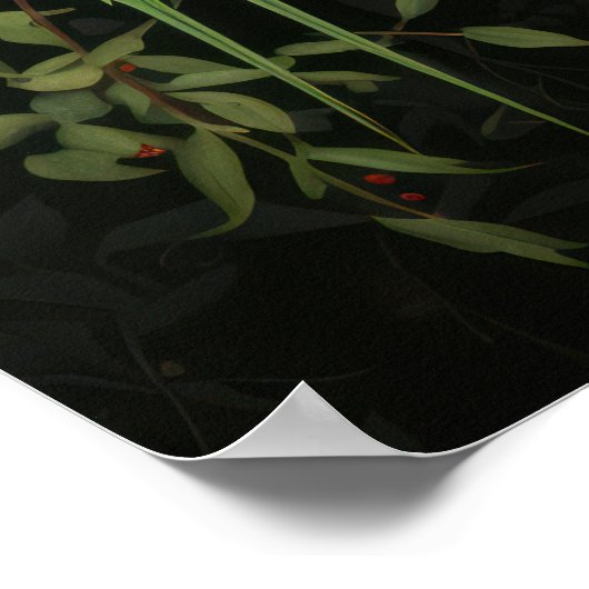 Poster Paire de budgets verts (Coin)