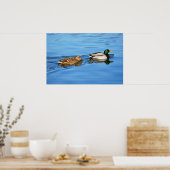 Poster Paire de canards colverts (Cuisine)