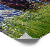 Poster Paire de caniche (noir) - Nuit étoilée (Coin)