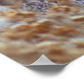 Poster Paire de cerfs de Mule sauvage | Californie (Coin)