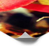 Poster Paire de champignons orange vif (Coin)