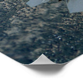 Poster Paire de chasseurs F22 de la Force aérienne (Coin)