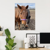 Poster Paire de cheval (Bureau à domicile)