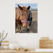 Poster Paire de cheval (Cuisine)